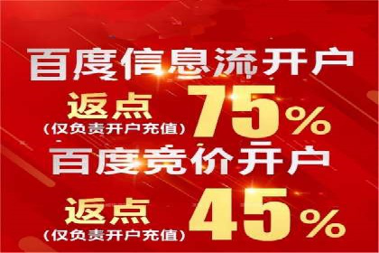 某行业SEM广告投放的创意与执行案例